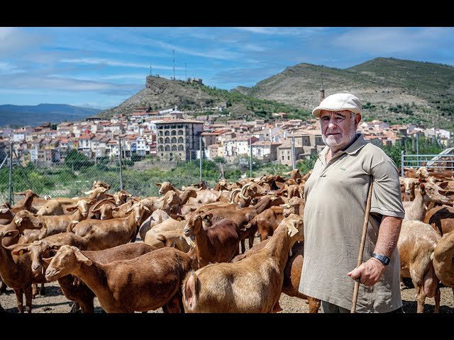 Un Paseo Por La Granja De Cabras De Sote